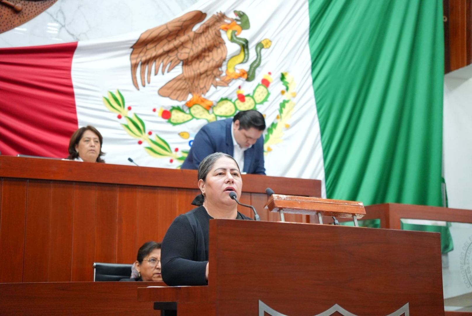 Blanca Águila Lima cuestiona desaparición del IAIP Tlaxcala; es un grave retroceso en materia de transparencia, DAI y PDP